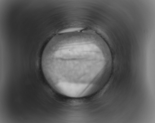 X0000088490305200706191429