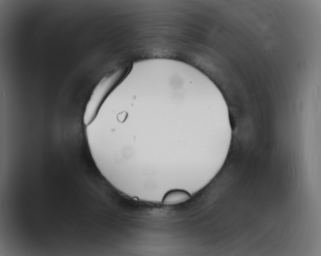 X0000088490306200706191429