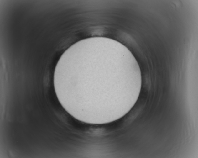 X0000088490311200706191429