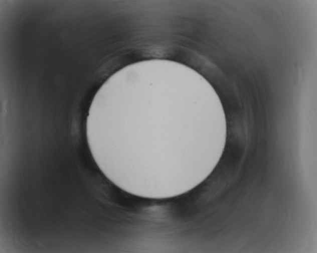X0000088490312200706191429