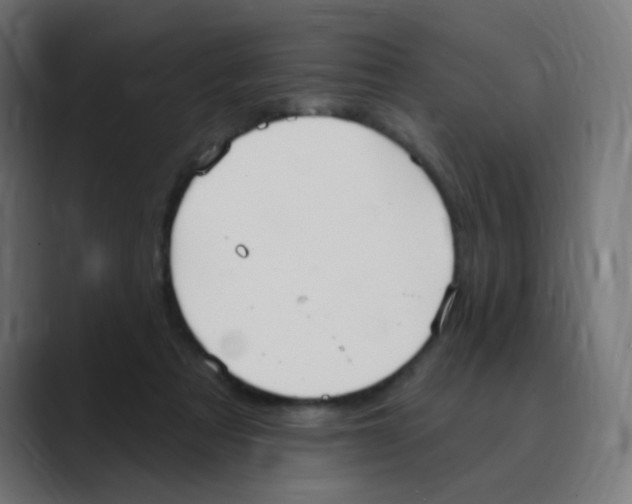 X0000088490313200706191429