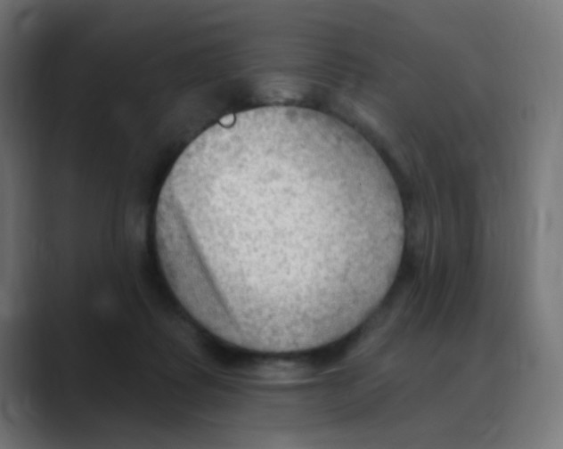 X0000088490315200706191429