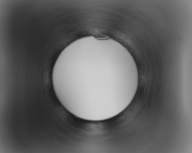 X0000088490317200706191429