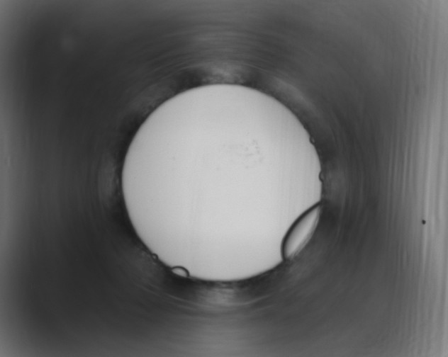 X0000088490318200706191429