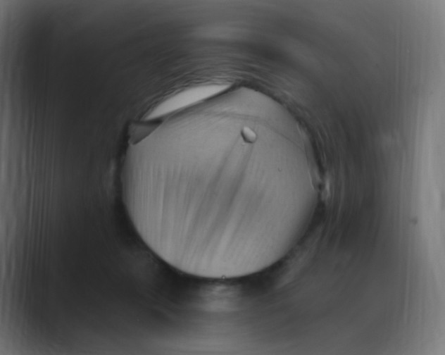 X0000088490319200706191429