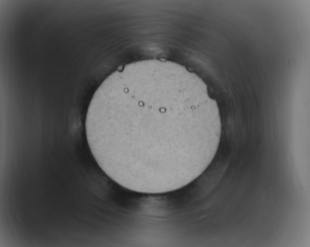 X0000088490320200706191429