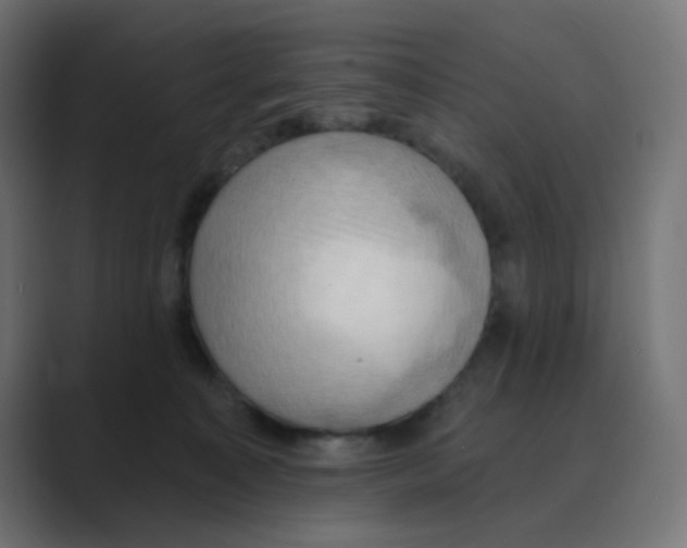 X0000088490323200706191429