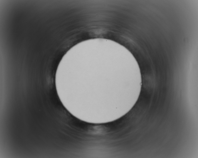 X0000088490324200706191429