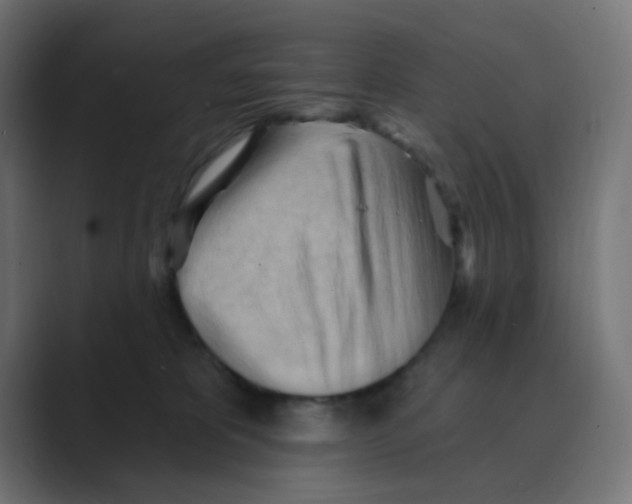 X0000088490325200706191429