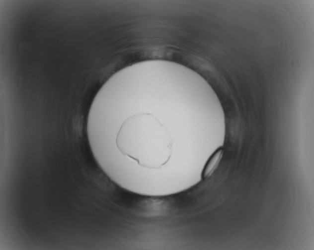 X0000088490326200706191429