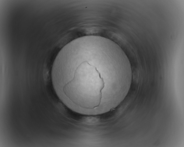 X0000088490327200706191429
