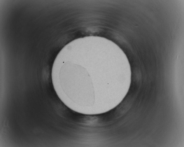 X0000088490328200706191429