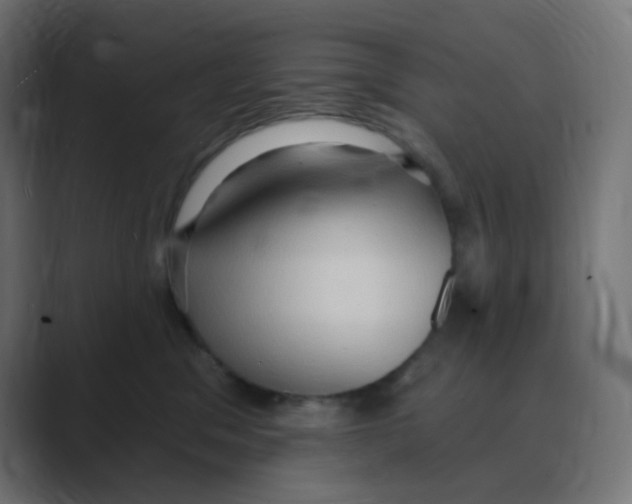 X0000088490329200706191429
