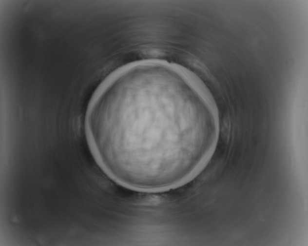 X0000088490330200706191429