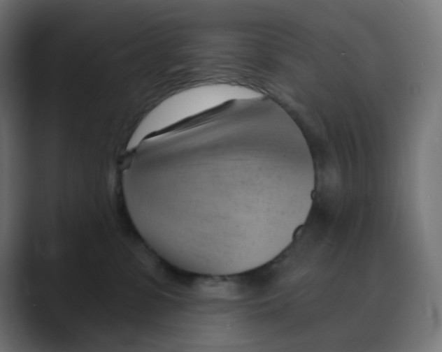 X0000088490331200706191429