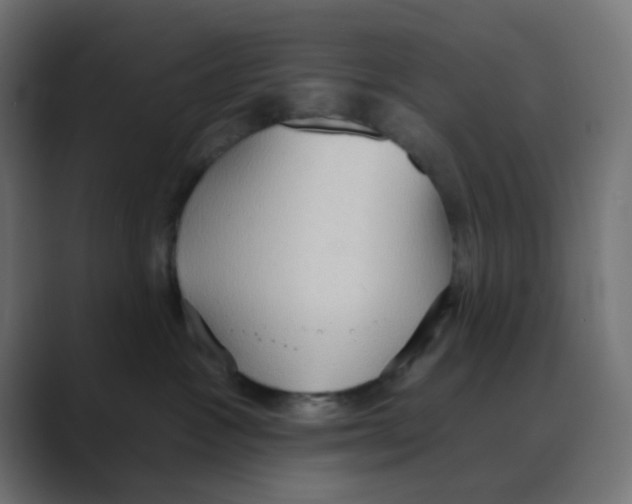 X0000088490333200706191429