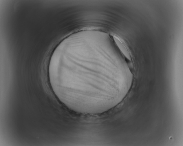 X0000088490337200706191428