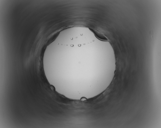 X0000088490338200706191428