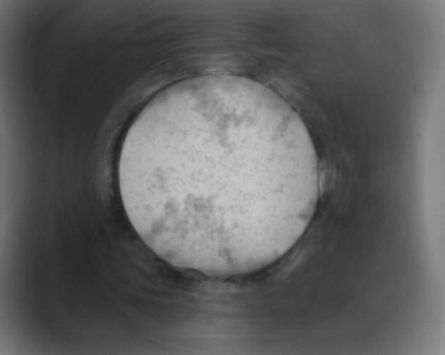 X0000088490339200706191428