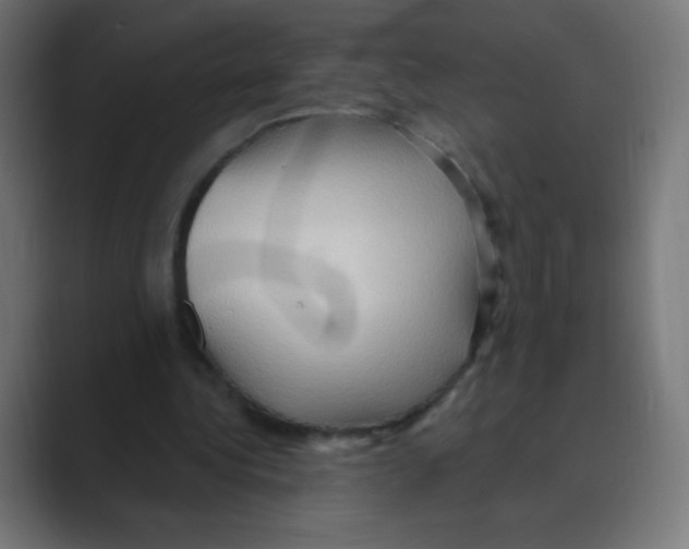 X0000088490340200706191428