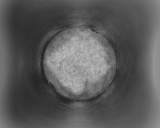 X0000088490341200706191428
