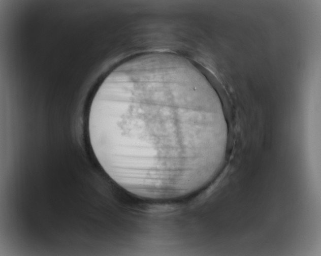 X0000088490342200706191428