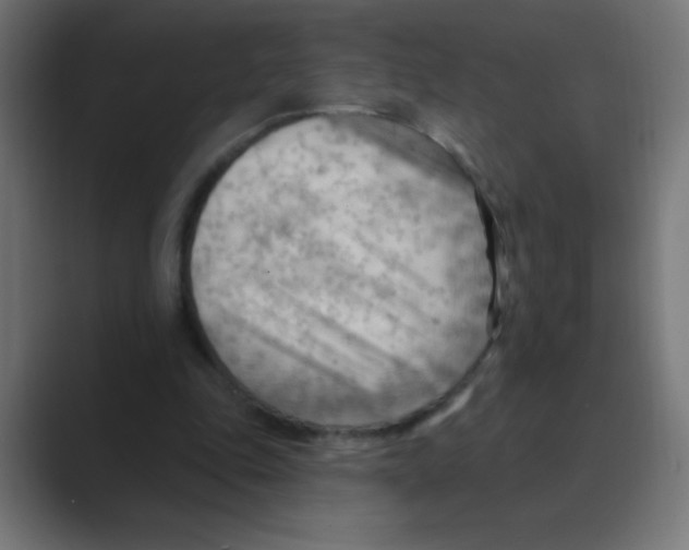 X0000088490343200706191428