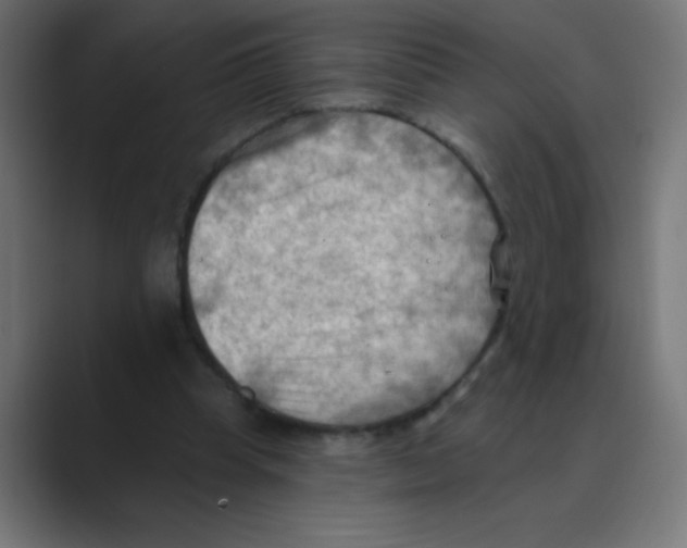 X0000088490345200706191428
