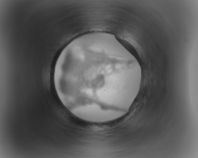 X0000088490346200706191428