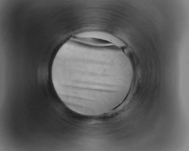 X0000088490348200706191428