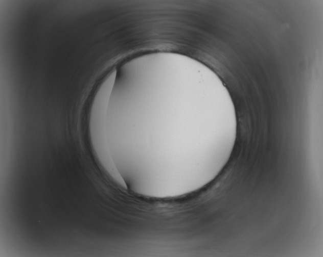 X0000088490350200706191428