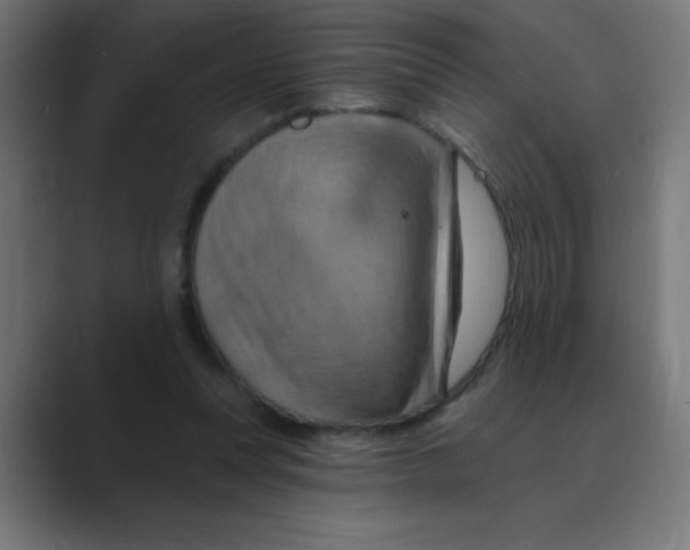 X0000088490351200706191428