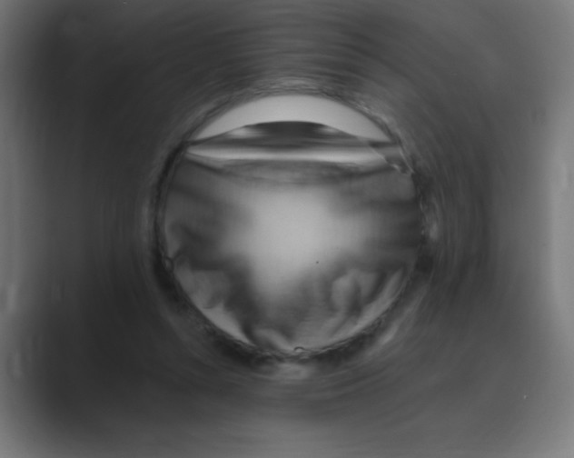 X0000088490352200706191428