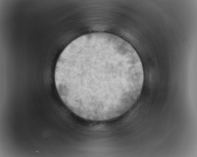 X0000088490354200706191428