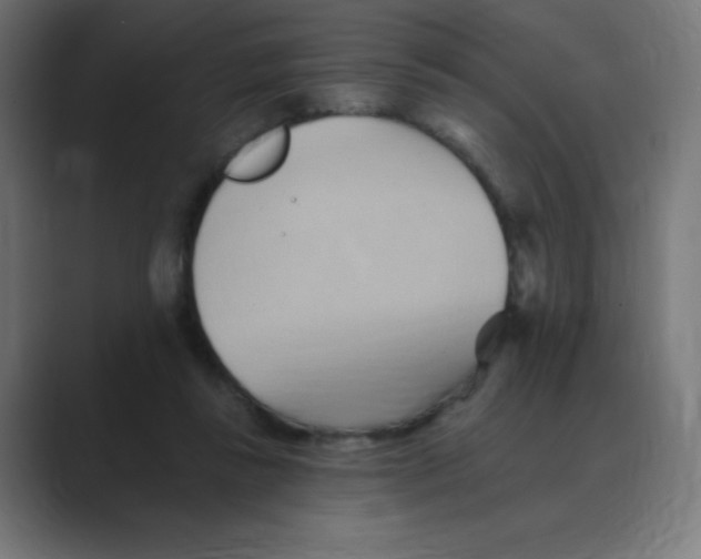 X0000088490355200706191428