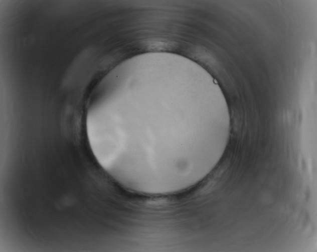 X0000088490357200706191428