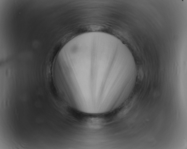 X0000088490360200706191428