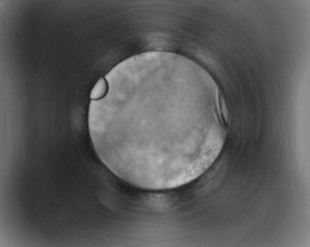 X0000088490361200706191428