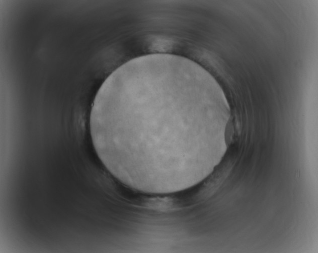 X0000088490363200706191428
