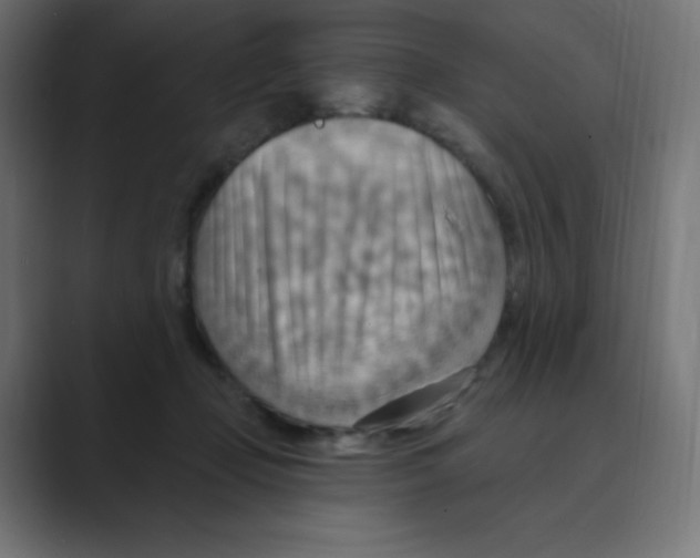 X0000088490365200706191429