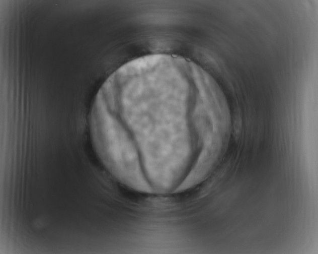X0000088490367200706191429