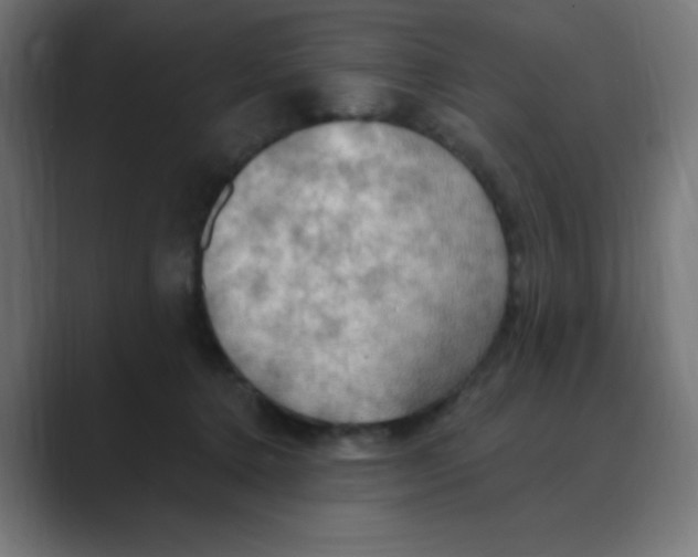 X0000088490368200706191429