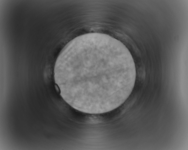 X0000088490372200706191429