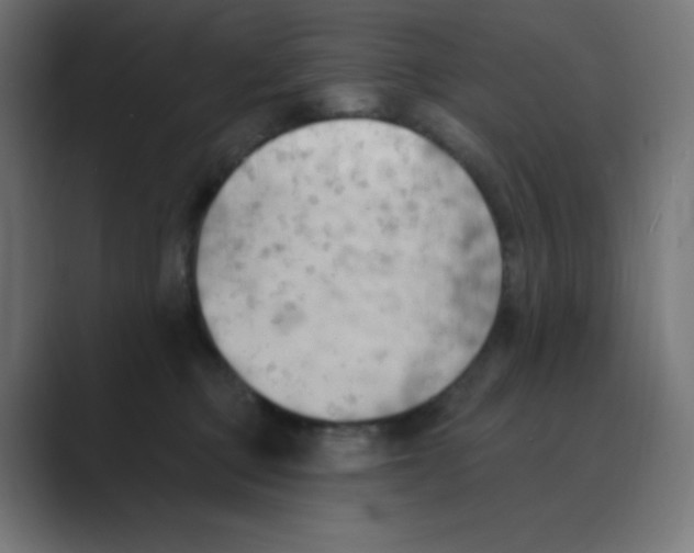 X0000088490373200706191429