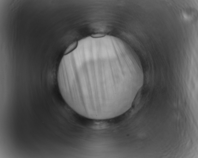 X0000088490376200706191429