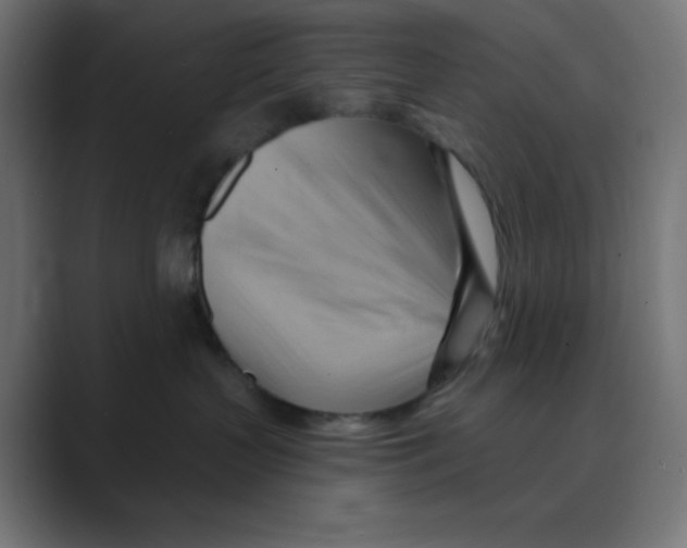 X0000088490383200706191429