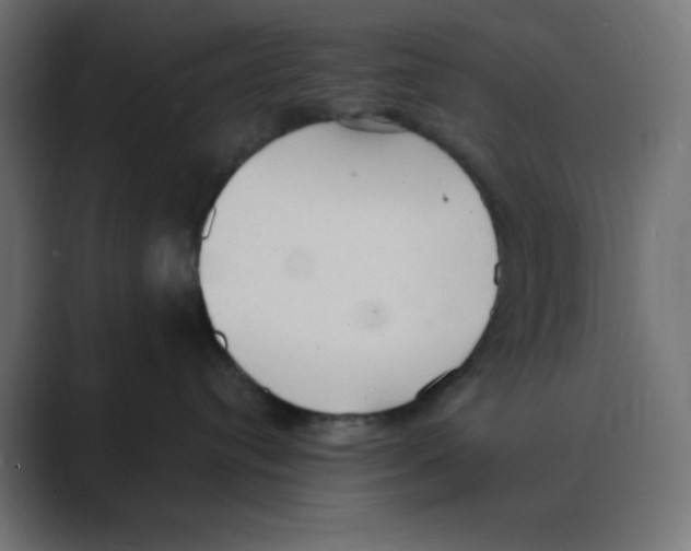 X0000088490384200706191429