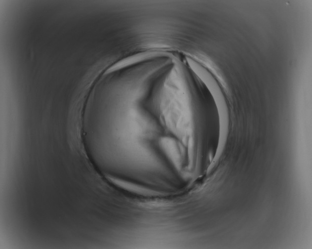 X0000088490385200706191428