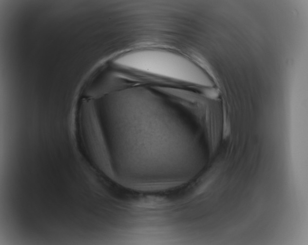 X0000088490387200706191428