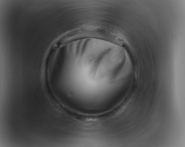 X0000088490388200706191428